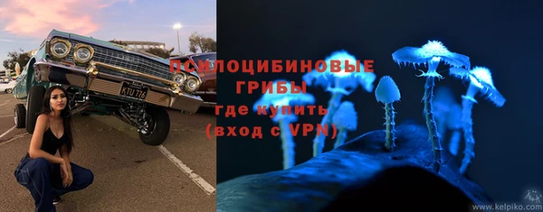 а пвп мука Каменка