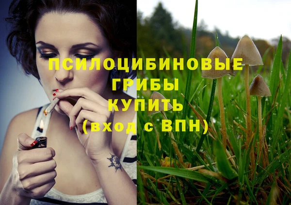 ГАЛЛЮЦИНОГЕННЫЕ ГРИБЫ Каменногорск