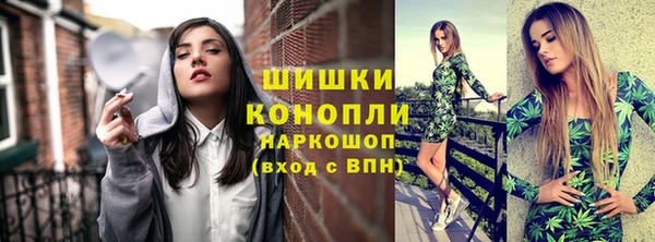 ГАЛЛЮЦИНОГЕННЫЕ ГРИБЫ Каменногорск