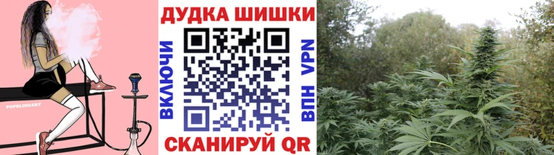 Бошки марихуана OG Kush  Купить закладки  Геленджик 